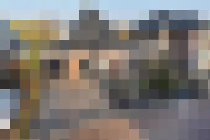 De Harnasch 41 Pijnacker thumbnail 6