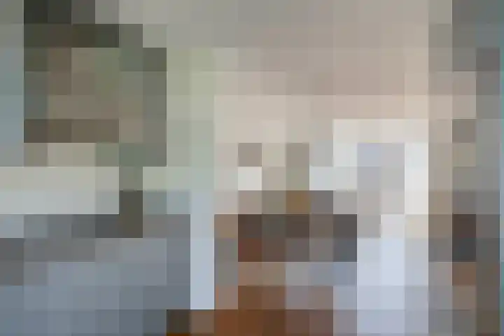 De Harnasch 41 Pijnacker thumbnail 8