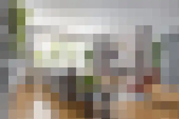 De Harnasch 8 Pijnacker thumbnail 10