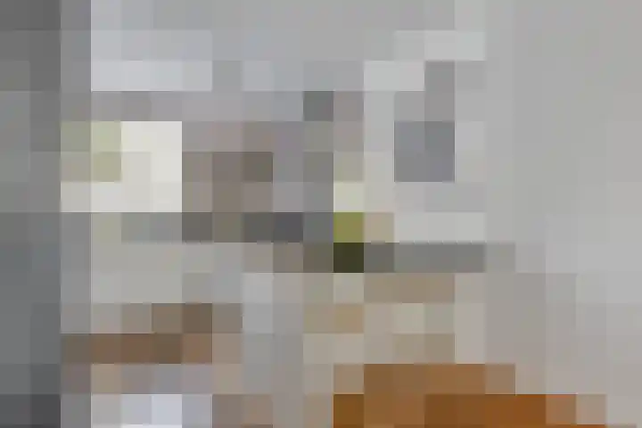 De Harnasch 8 Pijnacker thumbnail 12