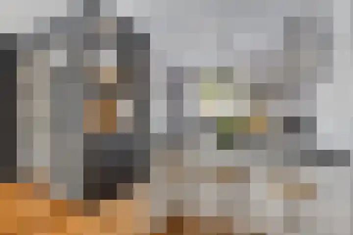 De Harnasch 8 Pijnacker thumbnail 13