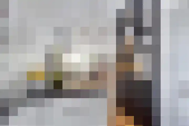 De Harnasch 8 Pijnacker thumbnail 14