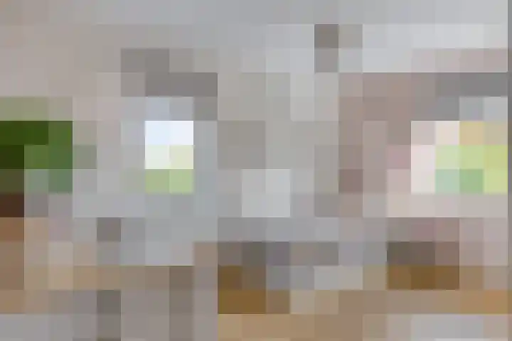 De Harnasch 8 Pijnacker thumbnail 22