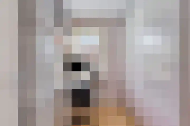 De Harnasch 8 Pijnacker thumbnail 24