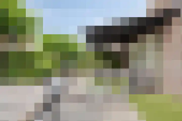 De Harnasch 8 Pijnacker thumbnail 27
