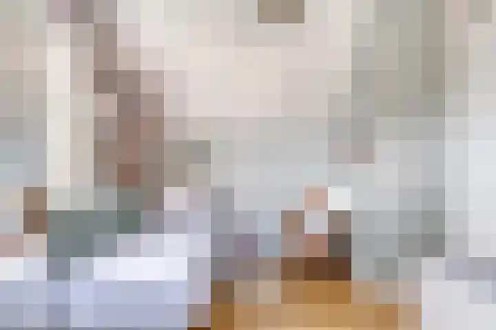 De Harnasch 8 Pijnacker thumbnail 31