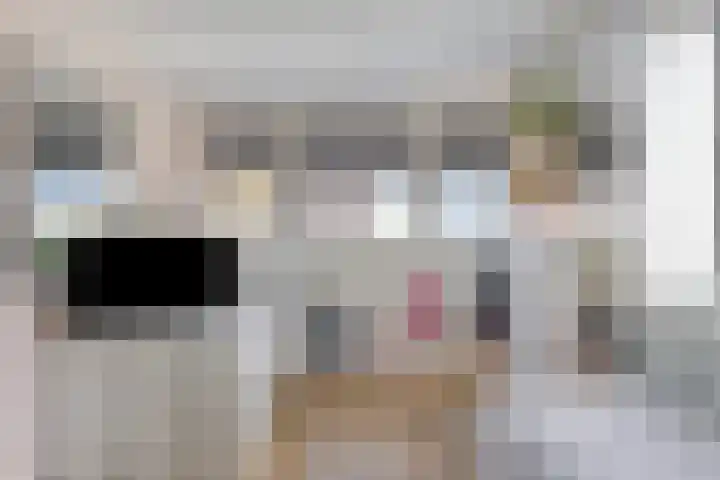 De Harnasch 8 Pijnacker thumbnail 32