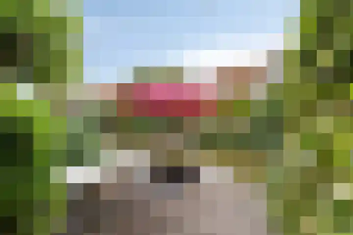 De Harnasch 8 Pijnacker thumbnail 35