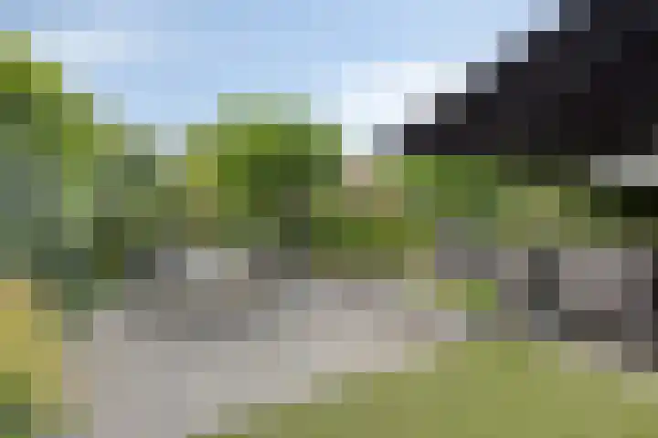 De Harnasch 8 Pijnacker thumbnail 36
