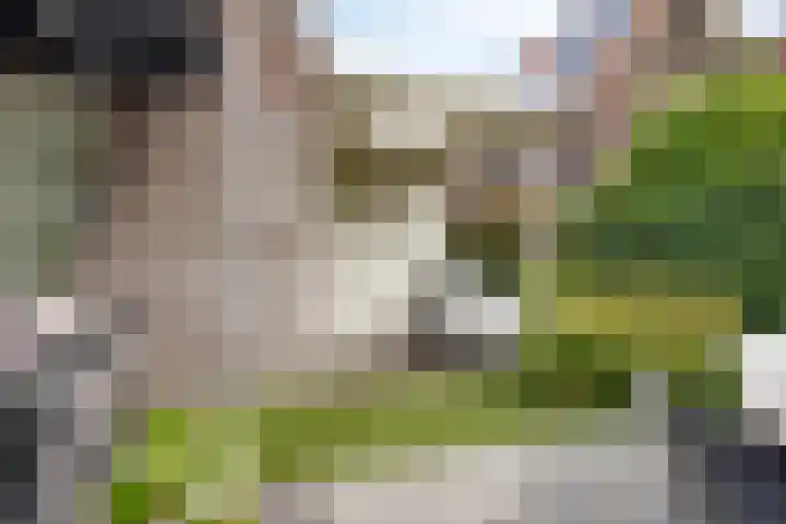De Harnasch 8 Pijnacker thumbnail 39