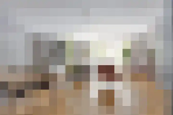 De Harnasch 8 Pijnacker thumbnail 4