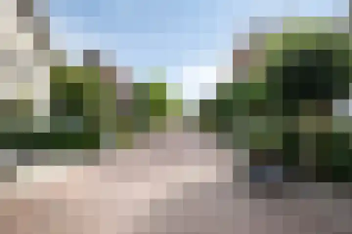 De Harnasch 8 Pijnacker thumbnail 41