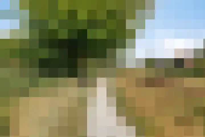 De Harnasch 8 Pijnacker thumbnail 42