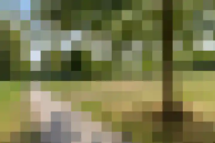 De Harnasch 8 Pijnacker thumbnail 43