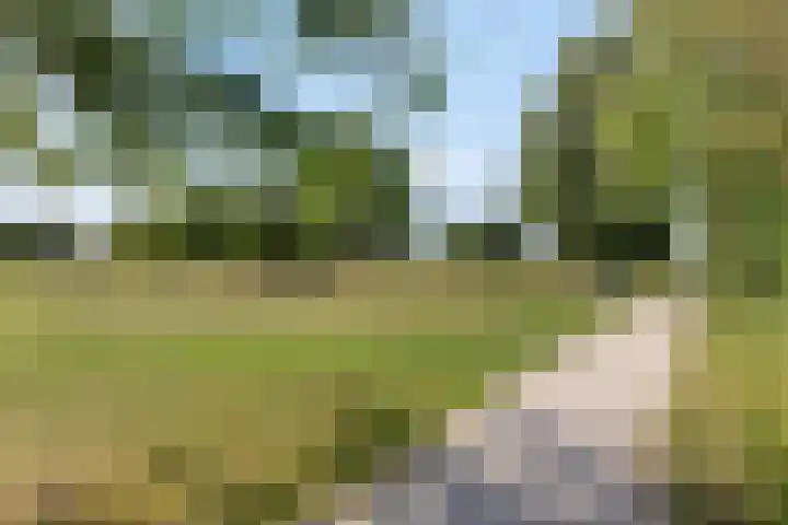 De Harnasch 8 Pijnacker thumbnail 44