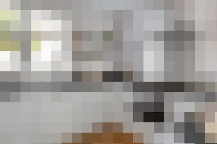 De Harnasch 8 Pijnacker thumbnail 5