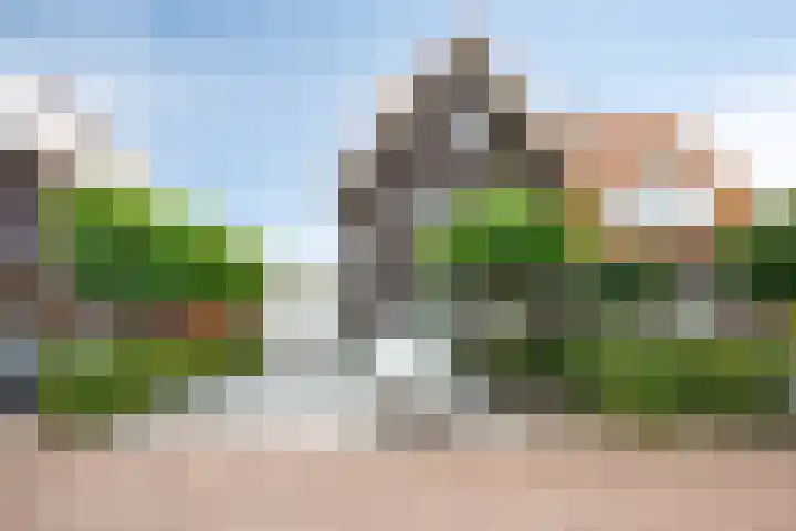 De Harnasch 8 Pijnacker thumbnail 6