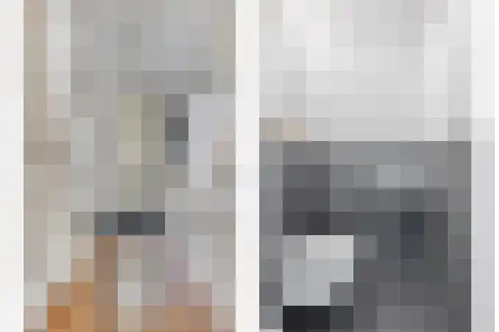 De Harnasch 8 Pijnacker thumbnail 7