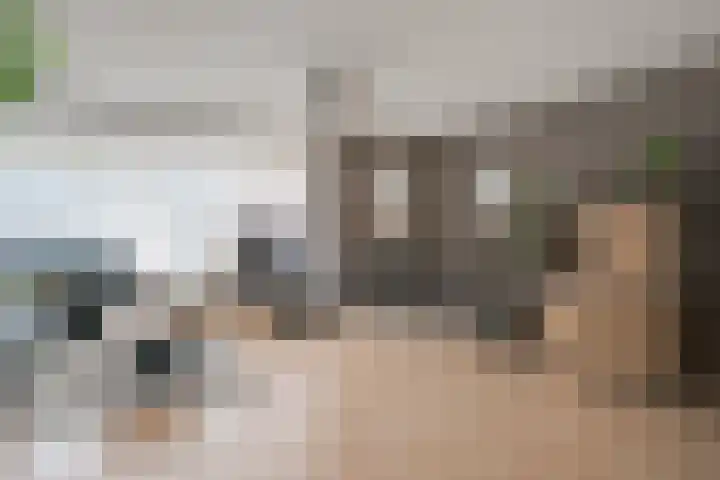 De Harp 4 's-Heerenberg thumbnail 11