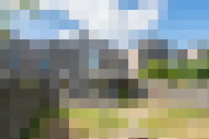 De Harp 4 's-Heerenberg foto 2
