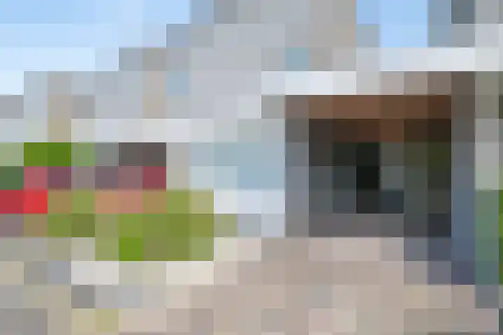 De Harp 4 's-Heerenberg thumbnail 6