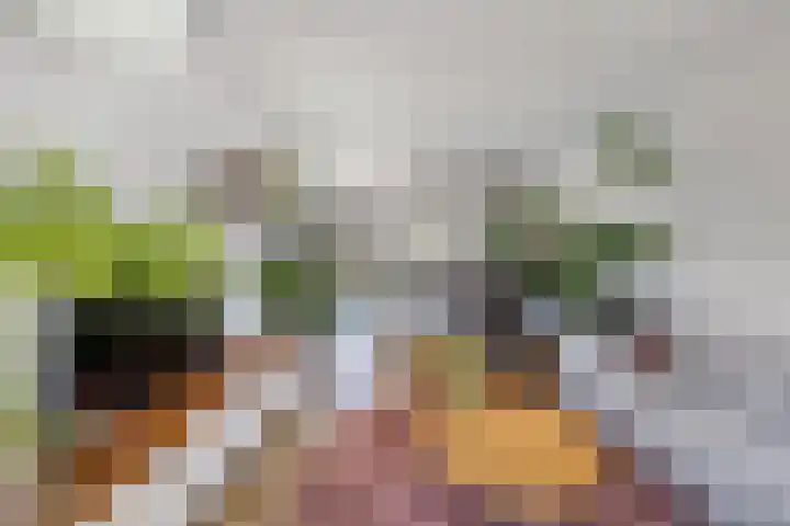 De Harst 2 Bolsward thumbnail 10