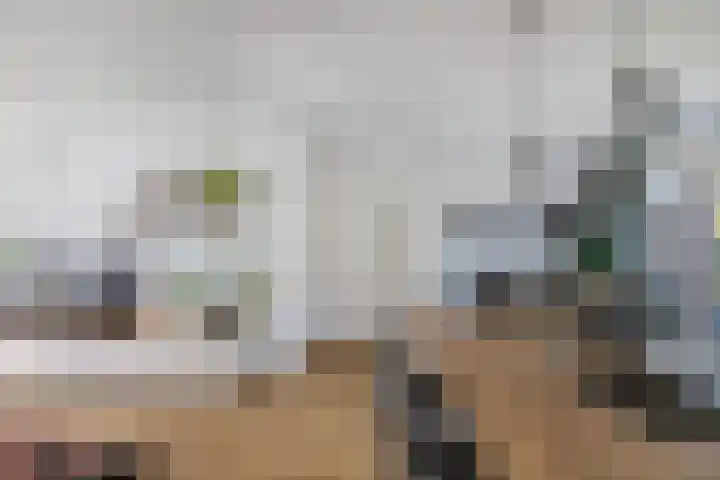 De Harst 2 Bolsward thumbnail 11