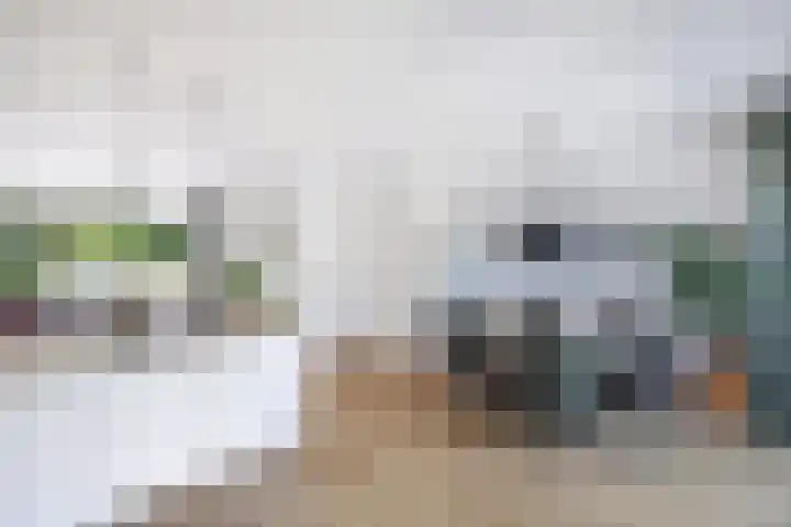 De Harst 2 Bolsward thumbnail 13