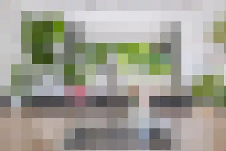 De Harst 2 Bolsward thumbnail 15