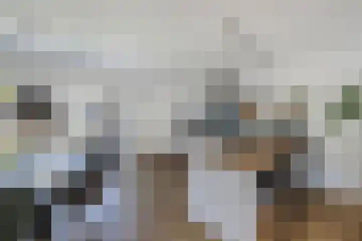 De Harst 2 Bolsward thumbnail 4