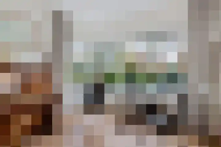De Harst 9 Bolsward thumbnail 10