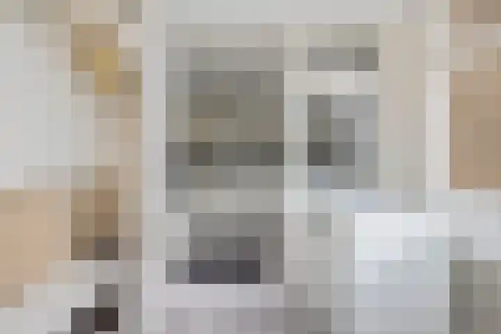 De Harst 9 Bolsward thumbnail 15