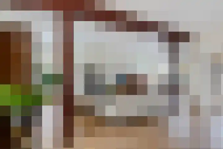 De Harst 9 Bolsward thumbnail 17