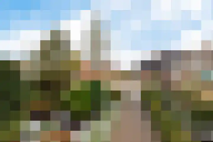 De Harst 9 Bolsward thumbnail 34