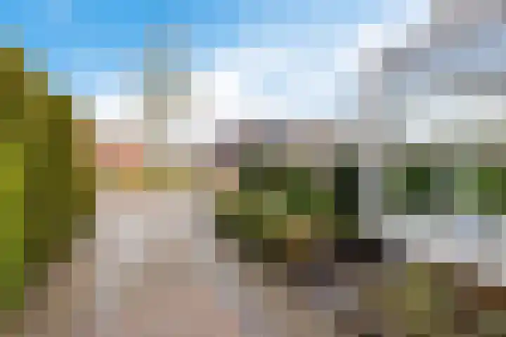 De Harst 9 Bolsward thumbnail 36