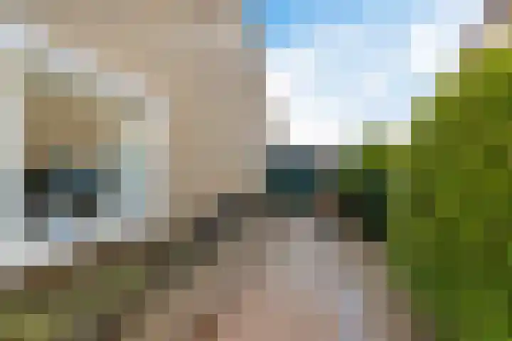 De Harst 9 Bolsward thumbnail 37