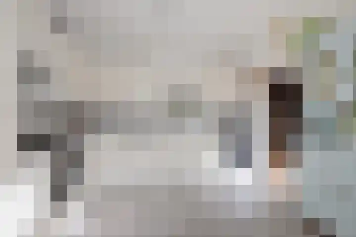 De Harst 9 Bolsward thumbnail 4