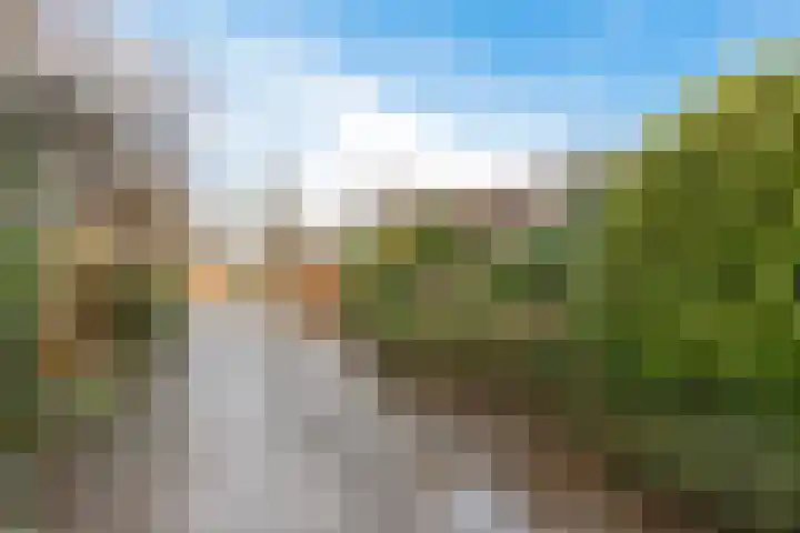 De Harst 9 Bolsward thumbnail 45