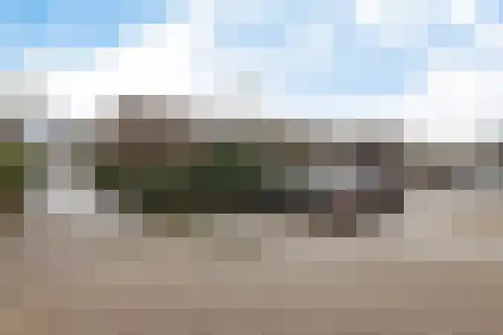 De Harst 9 Bolsward thumbnail 46