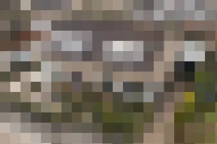 De Harst 9 Bolsward thumbnail 47