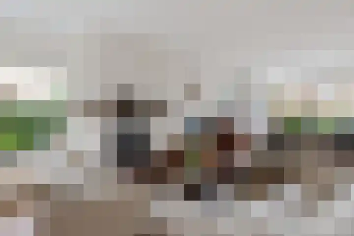 De Harst 9 Bolsward thumbnail 6