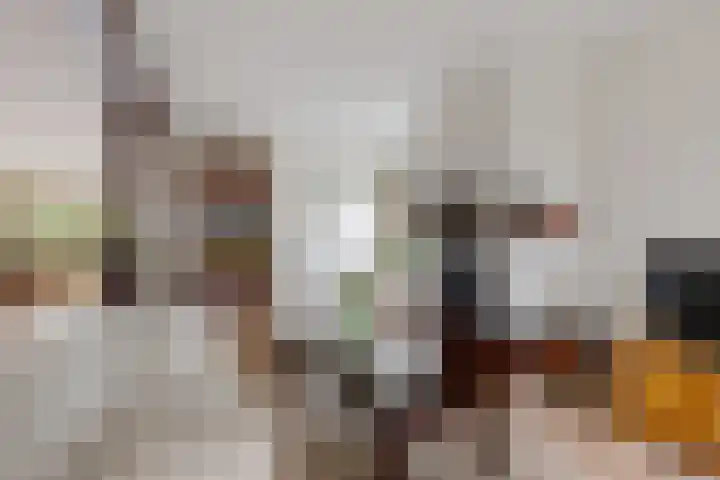 De Harst 9 Bolsward thumbnail 8