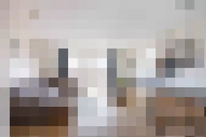 De Hartakker 12 Eelde thumbnail 10