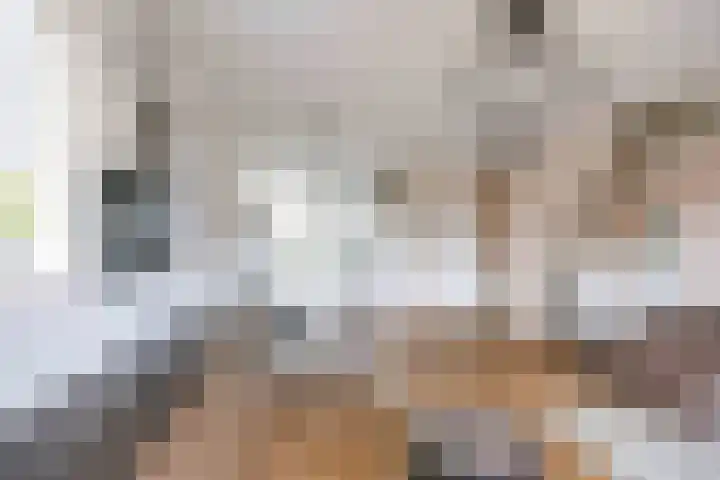 De Hartakker 12 Eelde thumbnail 15