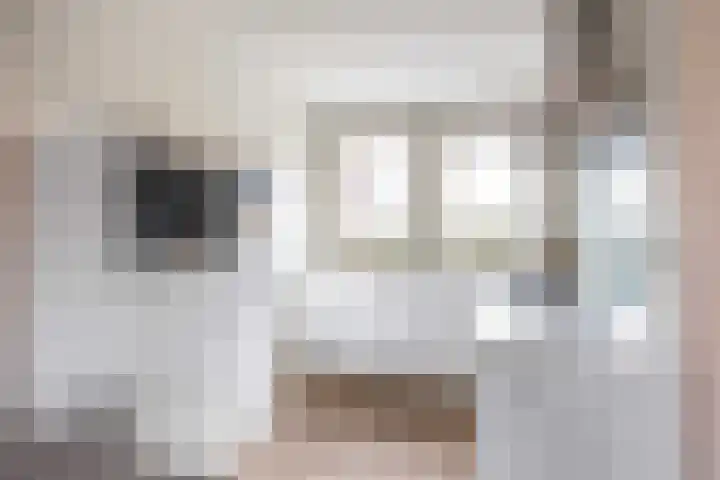 De Hartakker 12 Eelde thumbnail 17
