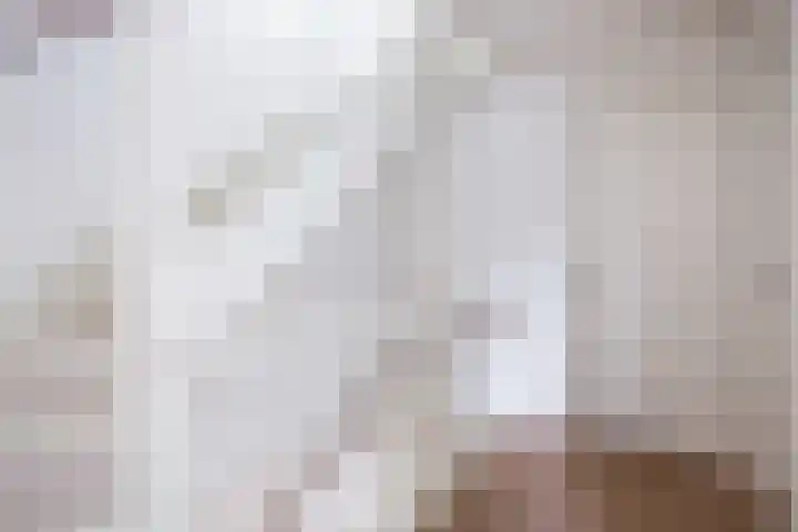 De Hartakker 12 Eelde thumbnail 22