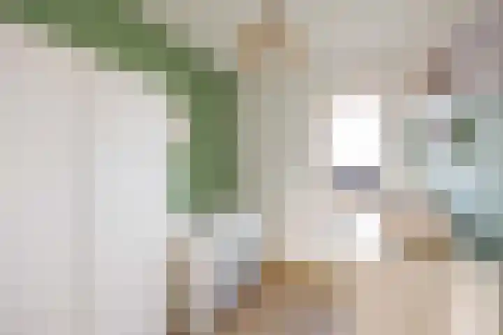 De Hartakker 12 Eelde thumbnail 27