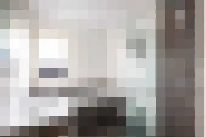 De Hartakker 12 Eelde thumbnail 29