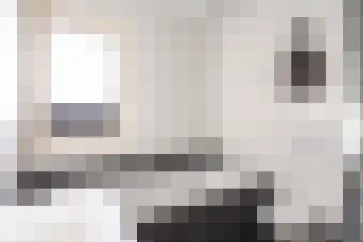 De Hartakker 12 Eelde thumbnail 30