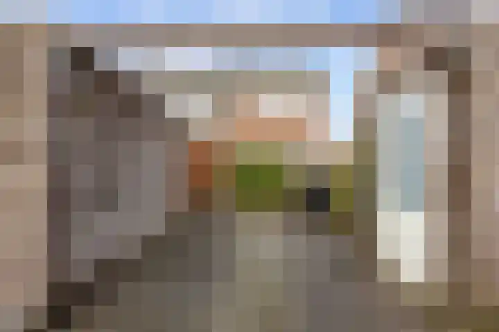 De Hartakker 12 Eelde thumbnail 4